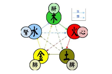 五行代表意義|五行（对万事万物的取象比类）